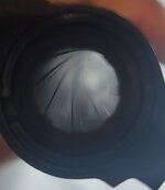 20260215_132753.jpg