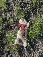 IMG_0619.jpeg