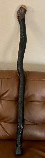 IMG_5359.jpeg