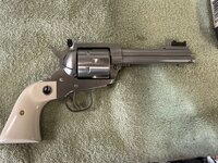IMG_7329.jpeg