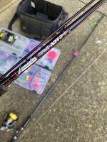 IMG_2160.jpeg