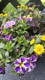 IMG_20260506_160325717.jpg
