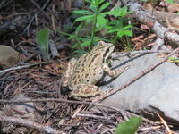IMG_6776.JPG
