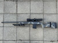 IMG_7669.jpeg