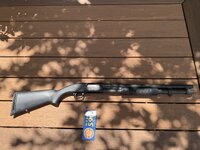 IMG_2636.jpeg