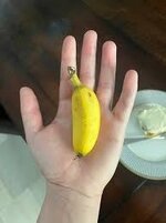 IMG_3991.jpeg