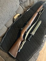 IMG_3439.jpeg