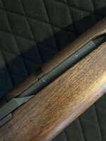 IMG_3442.jpeg