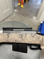 IMG_5567.jpeg