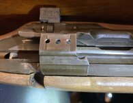IMG_8258.jpeg