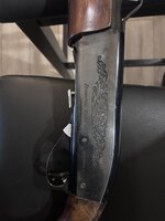 IMG_1468.jpeg