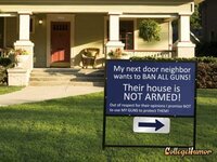 Neighbor gun.jpg