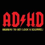 ADHD-Highway-to-Hey-Look-a-squirrel.jpg