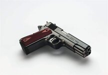 double barreled pistol.jpg