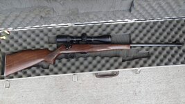 rifles 004.JPG