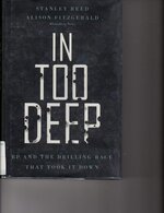 In Too Deep BP and the Drilling Race That Took it Down ISBN9780470950906 front.jpg