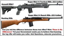 Rifles.jpg