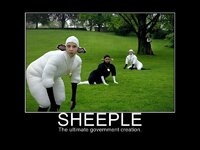 Sheeple.jpg