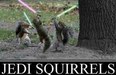 Jedi_Squirrels.jpg