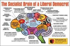 Brain_Socialist_Democrat.jpg