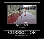 ninjas_motivational_poster_posters_inspirational_funny_demotivational_hot_humorous_pictures_imag.jpg