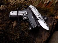 Noble Arms Kimber TLE RLII.jpg