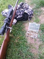 20150516_184242.jpg