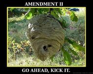 kick-hornets-nest.jpg