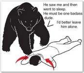 bear defense.jpg