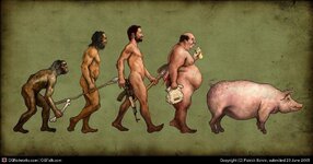 evolution-to-pig1.jpg