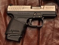Walther PPS grip.jpg