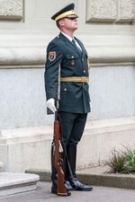 Slovenian Ceremonial Honor Guard.jpg