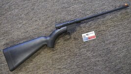 Henry survival rifle 22 ar7 249.JPG