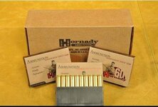 Hornady30-06.JPG