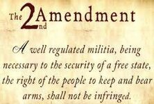 2nd Amendment 273x185.jpeg
