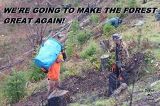 Make the forest great again.jpg