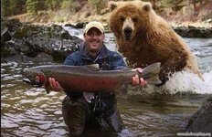 funny-bear-picture.jpg