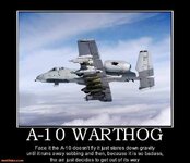 a-10-warthog-a-10-warthog-usaf-jets-military-demotivational-posters-1303771906.jpg
