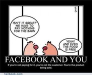 Facebook and You.jpg