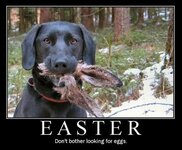 Easter Dog & Rabbit remains.jpg