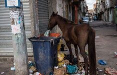 Slums_in_Rio_de_Janeiro_21.jpg