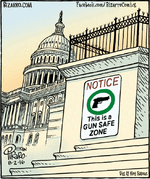 Gun Safe Zone.gif