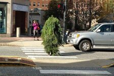 Man-wearing-bizarre-tree-costume-arrested-for-blocking-traffic-in-Maine-001.jpg