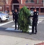 Man-wearing-bizarre-tree-costume-arrested-for-blocking-traffic-in-Maine-002.jpg