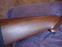 Guns Ruger-Winchesters-Rem 005.JPG