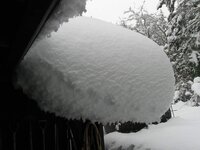 snow 009.JPG