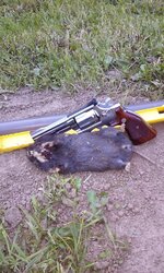 20150505_183503.jpg