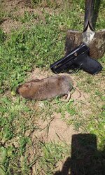 20150503_113508.jpg