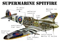 supermarine-spitfire-730x527.jpg