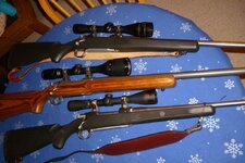 P1040229_zpsfofh3rdz.jpg